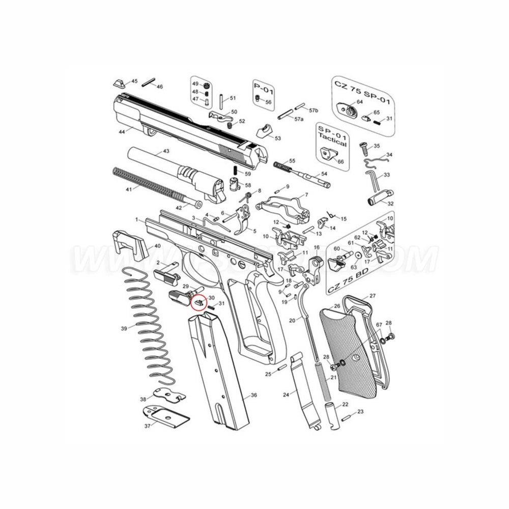 CZ 75 SAFETY DETENT PLUNGER LEFT